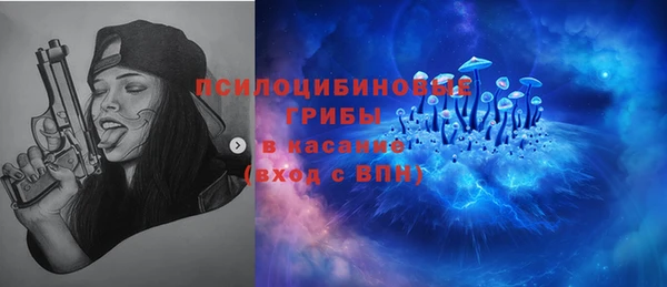 ПСИЛОЦИБИНОВЫЕ ГРИБЫ Алексеевка