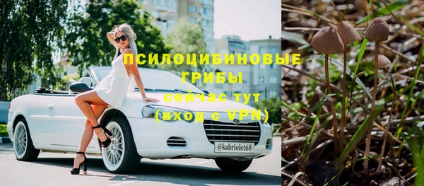 дурь Алексин