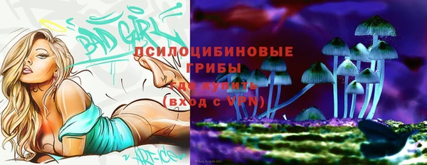 гашик Покров
