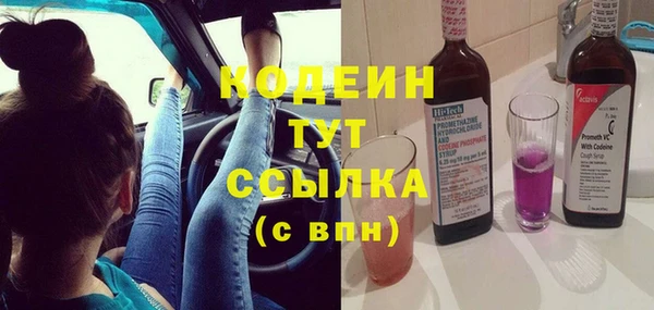 дурь Алексин