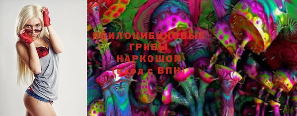 ПСИЛОЦИБИНОВЫЕ ГРИБЫ Алексеевка